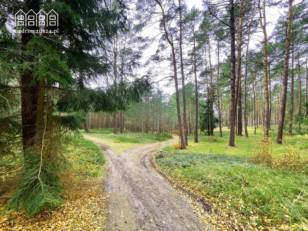 Apartamenty Nadrzeczna24 Tolkmicko Exterior foto